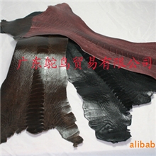 供应鸵鸟脚皮皮革-各色打光系列