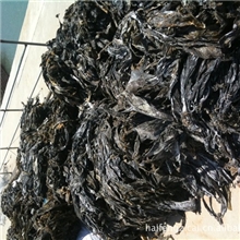 上等海带，一流手工，加工出优质无沙大板带