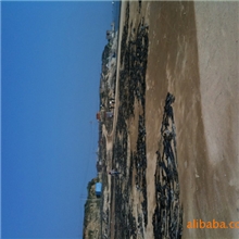 产地直销散装，精装福建海带