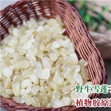 特价特级天山雪莲子野生皂角米雪贝批发500g