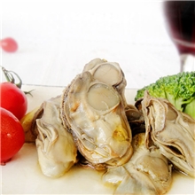 批发出口欧美海鲜罐头盐水牡蛎生蚝罐头海蛎子罐头226克