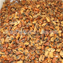 特级干淡菜/海红干/海虹干/海红干/青口肉/贻贝干青岛特产干活