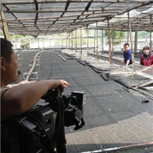 石蛙养殖技术培训