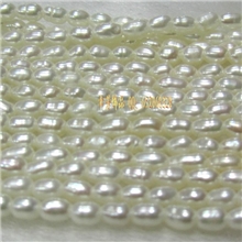 诸暨自养2－3mm米形天然小珍珠批发厂家直销特供外贸原单