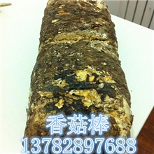 供应香菇菌棒废木材木炭再生资源木屑燃料木渣香菇培养基