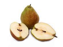 专业生产销售DDGS质优价廉