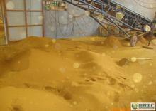 长期大量供应DDGS质优价廉量大从优