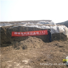 2013年新草粉（花生秧）