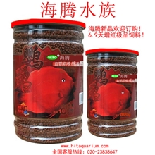 海腾顶级易拉罐新品极品新鲜上市