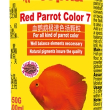 血鹦鹉增色极品7天增色观赏鱼高级饲料