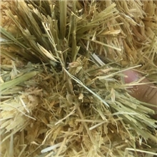 进口燕麦草澳洲燕麦牛饲料燕麦干草马饲料优质干草燕麦