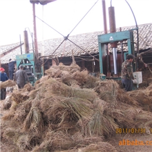 大量供应花生秧，质量上乘！！！