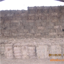 长期大量供应稻草，质量第一！！！产量较高！！！