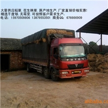 长期大量供应花生秧,超级干质量第一!!!