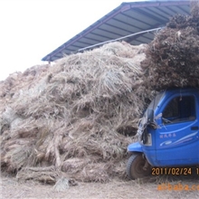 长期大量供应稻草，质量第一！！！欢迎前来合作，洽谈！
