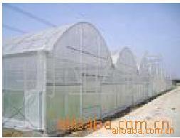 供应优质种植防虫网无毒无味抗老化