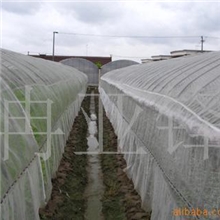 专业网、防虫网、渔业用网、养殖网、塑料网