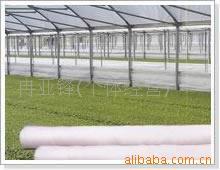 供蔬菜种植防虫网无公害蔬菜防虫网配件大棚防虫网