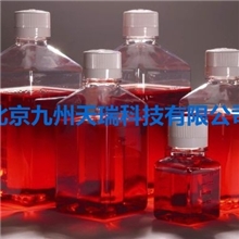 小鼠淋巴细胞无血清培养基500ml/瓶
