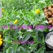 菊粉90%-食品级【品质保证长期供应】