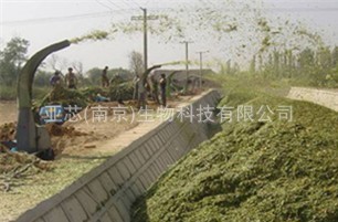 青贮饲料添加剂