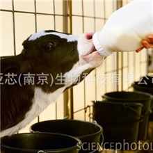 芯来旺II-幼龄动物拉稀的保护伞，预混料厂必选添加剂