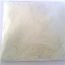 供应2011年新春产岩白菜素--岩陀提取物