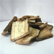 供葛根原料---提取原料葛根-主要供提取厂家或药厂前处理车间