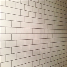 供应佛山100*200mm卫生间耐磨易洁墙砖(图)