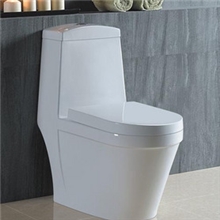 供应帝鸿卫浴厂家直销品质保证连体式马桶抽水座便器马桶256