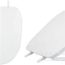 供应优质抽水马桶盖子塑料模具制造