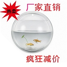 厂家供应亚克力鱼缸，有机玻璃鱼缸，悬挂式鱼缸