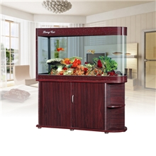 东莞亮彩厂家直销鱼缸批发定做1.2米子弹头系列屏风缸