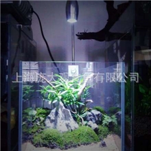 精品水族水景迷你景观生态景观小型鱼缸迷你鱼缸