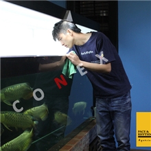专业龙鱼喂养龙鱼治病鱼缸清洗水族箱清洗海水缸/淡水缸清洗