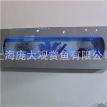 供应鱼缸挂壁式鱼缸悬挂鱼缸水族箱缸内造景镶嵌式