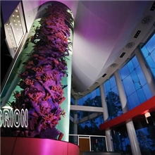 鱼缸厂家直销亚克力圆形鱼缸批发专业定制鱼缸水族箱生态鱼缸