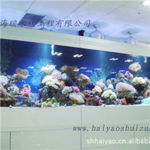 采用最新生产工艺订做生态水族箱10年制作经验品质有保证