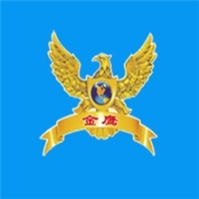 真石漆环氧无毒涂料红丹防锈漆