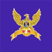 真石漆环氧无毒涂料拉毛涂料