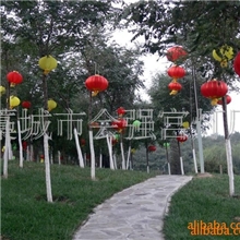 批发各种大红灯笼喜庆塑纸灯笼灯笼批发儿童灯笼广告大红灯笼