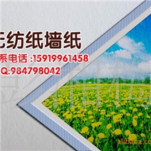 纸无纺纸系列&mdash;&mdash;弱溶剂/水性无纺纸壁画印刷基材装饰材料首选