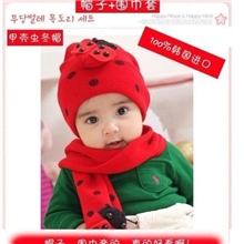 儿童帽子批发韩国帽子冬季新款甲壳虫毛线帽围巾套装宝宝帽