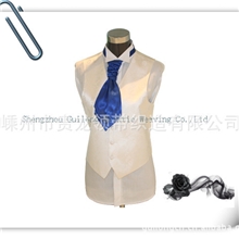 马甲真丝提花淘宝热卖，流行时尚，内销马甲（图）