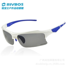 户外偏光太阳镜男女潮人运动偏光镜防眩光司机镜开车墨镜RB0302