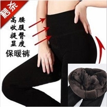 女士一体裤秋冬加绒高腰保暖裤大码珍珠绒超柔踩脚打底裤批发