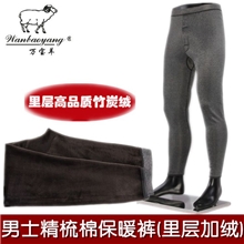 男士精梳棉秋裤竹炭纤维加绒保暖裤一条过冬打底裤不起球
