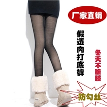 厂家直销爆款假透肉保暖打底裤女高腰网纱加绒加厚连裤袜不勾丝