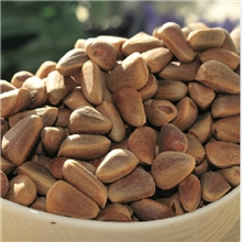 批发东北野生生松子长白山特产27元一斤散货