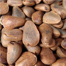 厂家供应长白山开口黑松子熟东北野生大号